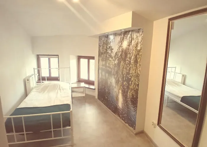 Lodzki Palacyk - Hostelowe * وودج