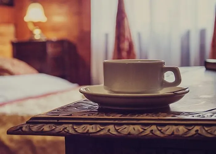 Lodzki Palacyk - Hostelowe * وودج